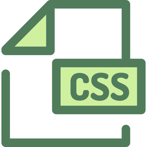 CSS CSS